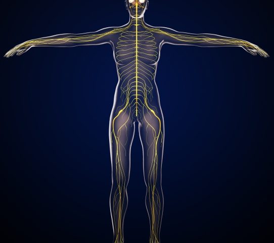 雨の日の不調は気圧の変化への体の防衛反応によるもの？